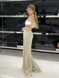 Sexy Mermaid Halter Sleeveless Floor Length Long Prom Dress HZ1024