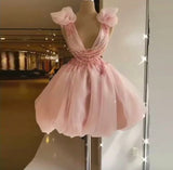Pink Fashion Sweet Short Homecoming Dress V Neck Sleeveless Lace Birthday Outfit HZ1024