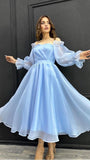 Vintage A Line Strapless Light Sky Blue Organza Prom Dresses Evening Dress HZ1024