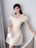 Simple A-Line Off The Shoulder Tulle Short Birthday Outfits Homecoming Dress HZ1024