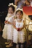 Sweet A Line Tiered Tulle Flower Girl Dress HZ1024
