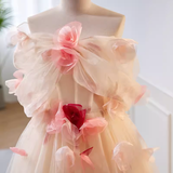 Princess Ball Gown Strapless Tulle Long Prom Dress HZ1024